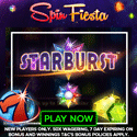 Spin Fiesta