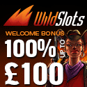 Wild Slots Casino