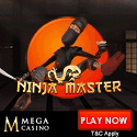 Mega Casino