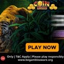 Coinfalls Casino